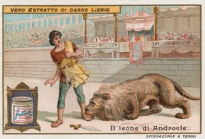 Androklus und der Löwe von European School