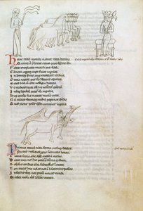 Bestiarium: das Pferd von European School
