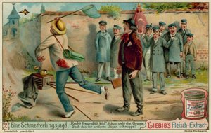 Schmetterlingsjagd und Fotografie