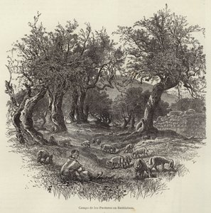 Hirtenfeld in Bethlehem