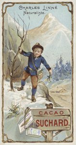 Carl von Linné, schwedischer Botaniker und Zoologe, als Kind von European School