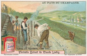 Champagner, Liebig-Karte, frühes 20. Jahrhundert