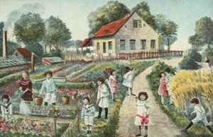 Kinder in einem Garten oder Schrebergarten