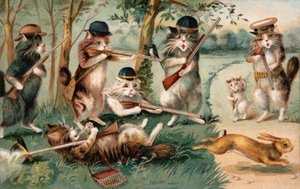 Komische Katzen auf der Jagd nach Kaninchen
