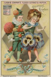 Dahlie und Stiefmütterchen von European School