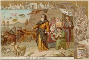Ausstieg aus der Arche von European School