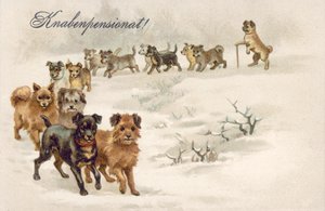 Hund Postkarte