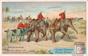 Englische Soldaten von Elefanten in Indien gezogen, Liebig-Karte, frühes 20. Jahrhundert