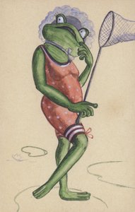 Frosch in Badeanzug mit Angelnetz von European School