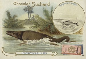 Ichthyosaurier und Gemeiner Delfin von European School