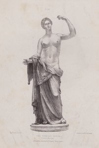 Illustration für Die Anatomie der äußeren Formen des Menschen: Die Townley Venus, British Museum von European School