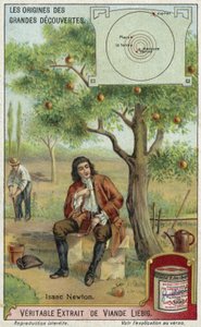 Isaac Newton und die Schwerkraft von European School
