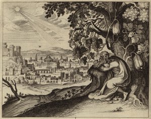 Jona sucht Schutz vor der Sonne im Schatten eines Weinstocks von European School