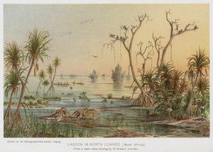 Lagune in Nord-Loango, Westafrika