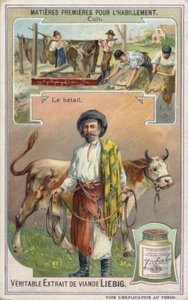 Leder: Rind von European School