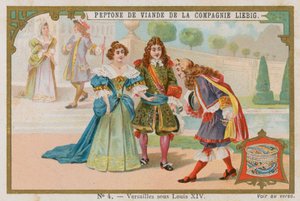 Ludwig XIV.s Versailles