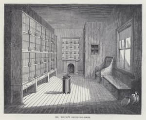Herr Youngs Zuchtzimmer (Farblithografie) von European School