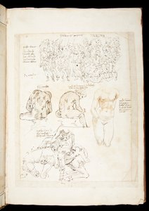 Ms 701 fl.34v, Zeichnung mit einer Ansicht des Spinario von hinten, spätes 15. Jahrhundert (Feder & Tinte auf Papier) von European School