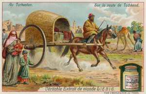 Auf dem Weg nach Taschkent in Usbekistan von European School