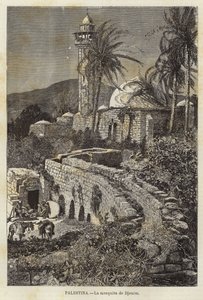Palästina, Die Moschee von Djenim von European School
