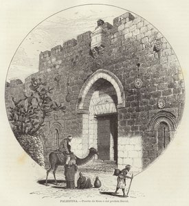 Palästina, Zionstor oder Prophet-David-Tor von European School