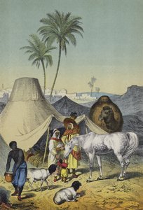 Menschen, Tiere und Pflanzen von Nordafrika und Arabien von European School