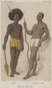 Schwarze Rasse, Papou, Schwarzer aus Guinea von European School