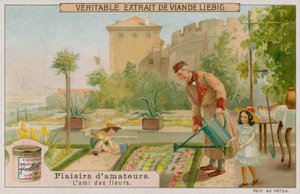 Der Amateur-Gärtner von European School