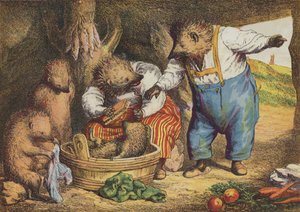 Der Hase und der Igel