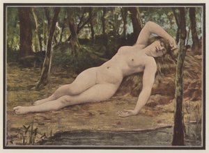 Die Siesta von European School