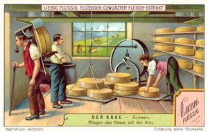 Wiegen von Schweizer Käse in einer Alpkäserei von European School