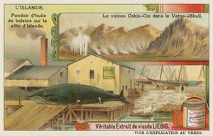 Walfabrik und ein Vulkan im Vatna-Gletscher von European School
