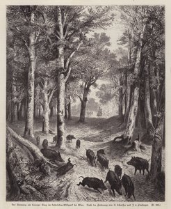 Wildschwein auf dem Lorenzer Berg im Kaiserpark in Wien, Österreich von European School