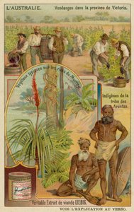 Weinbauern in Victoria, Aranda-Aborigines und typische Pflanzen entlang der Murray-Ufer von European School