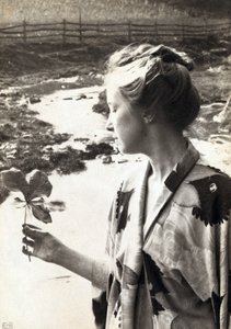 Das Maiapfelblatt von Eva Lawrence Watson Schutze