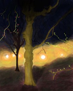 5:20 Uhr morgens, Prospect Park, Brooklyn von Evan Sklar
