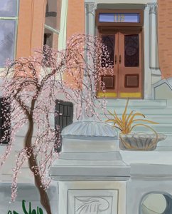 Blühender Kirschbaum, Brooklyn, 2017