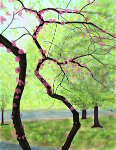 Blühender Baum, Brooklyn von Evan Sklar