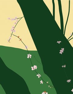 Kirschblüten, 2015 von Evan Sklar