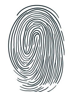 Zeichnung eines Fingerabdrucks Brooklyn von Evan Sklar