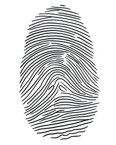 Zeichnung eines Fingerabdrucks Brooklyn von Evan Sklar