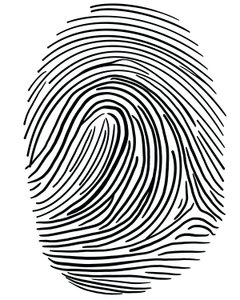 Zeichnung eines Fingerabdrucks Brooklyn von Evan Sklar