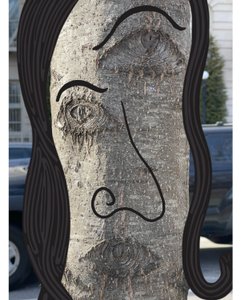 Illustration eines Baumgesichts mit Fotografie und Zeichnung, Brooklyn von Evan Sklar
