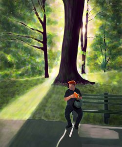 Mann liest im Park, Brooklyn von Evan Sklar