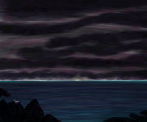 Ozean und Himmel mit Vogel bei Nacht von Evan Sklar