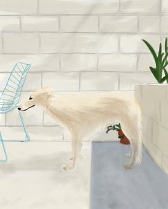 Penny auf der Hinterveranda, 2017 von Evan Sklar