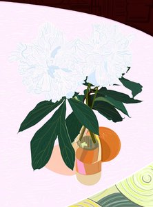 Pfingstrose und Grapefruit von Evan Sklar