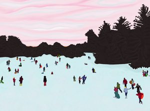 Schlittenfahren, Prospect Park von Evan Sklar