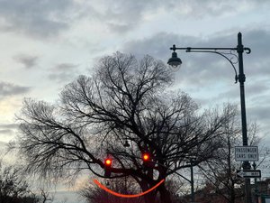 Lächelnder Baum und Ampeln. Brooklyn