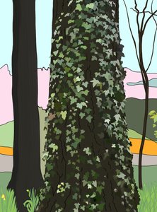 Baum mit Efeu